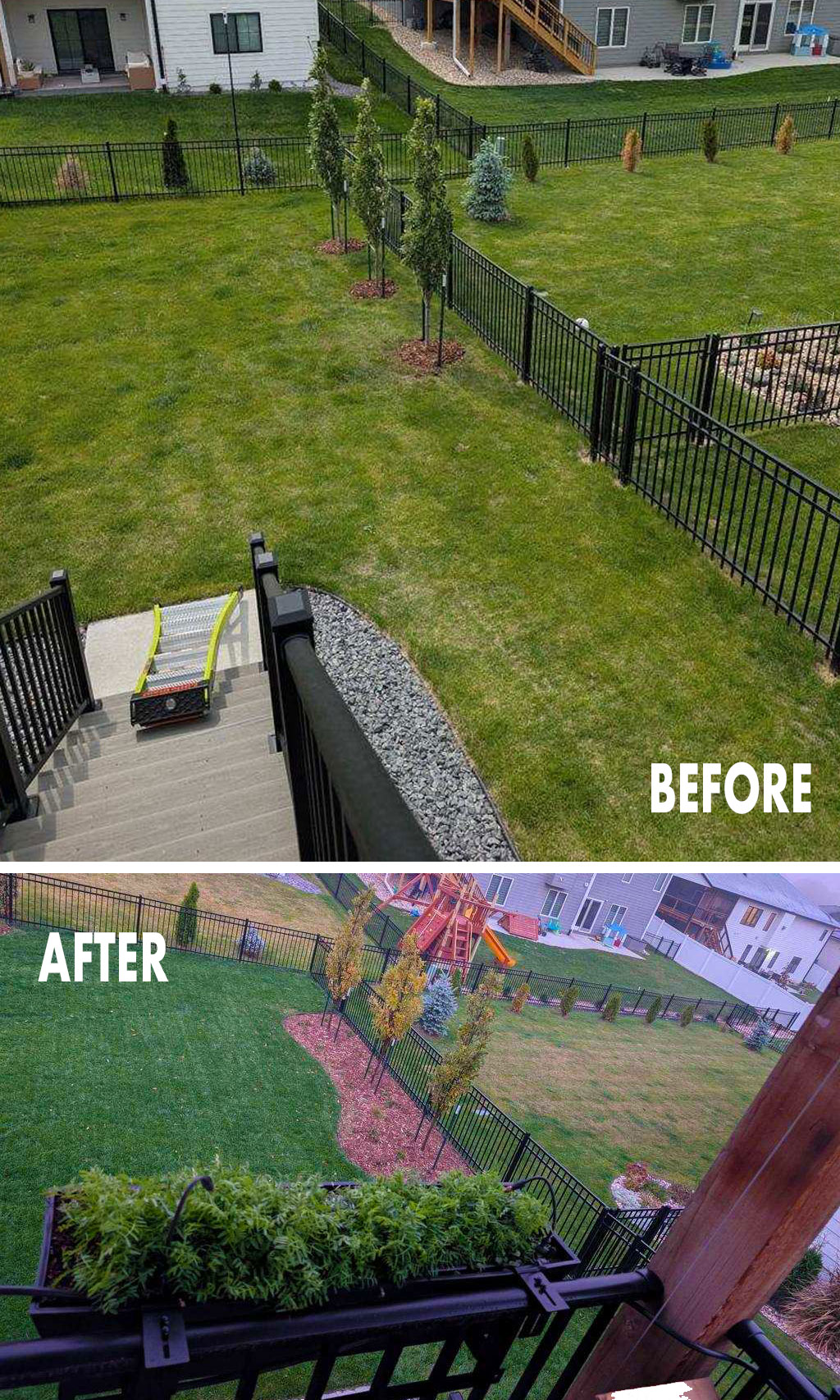 Lawn Before and after
