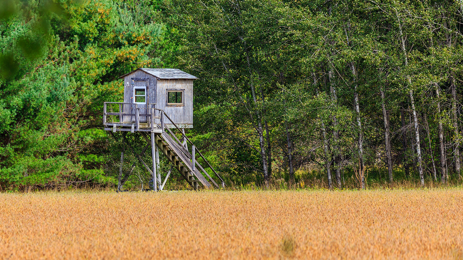 Food Plot Management